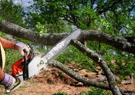 Landscape Design and Installation in Alton, TX